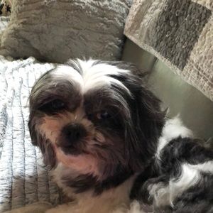 Meet your Posher, Joyce a